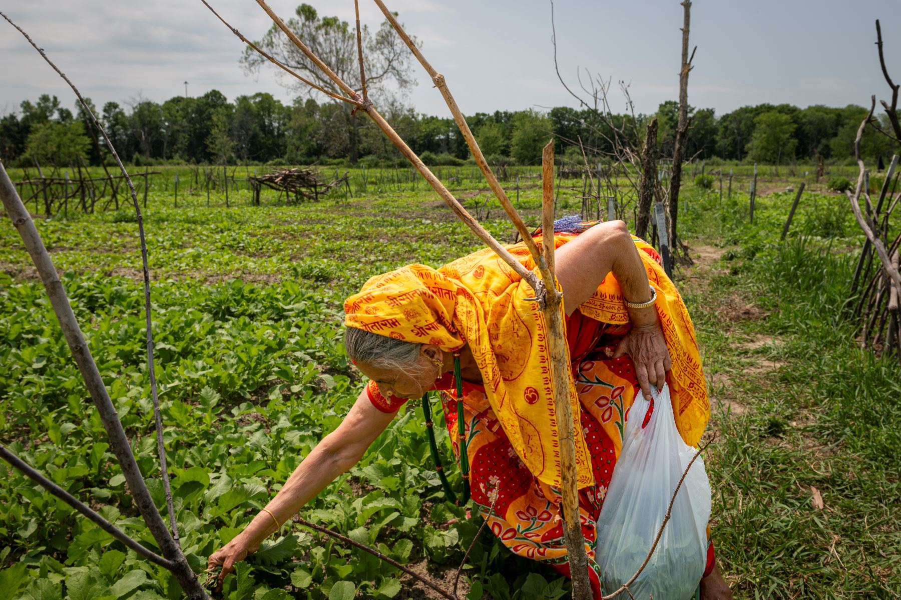 Concord Public Library-052812-74